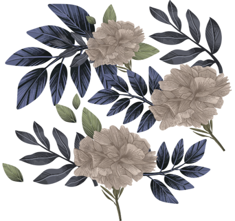 Beauty Clinic Booking